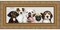 Panoramic Contemporary Gold Picture Frame - UV Acrylic, Foam Board Backing, Hanging Hardware